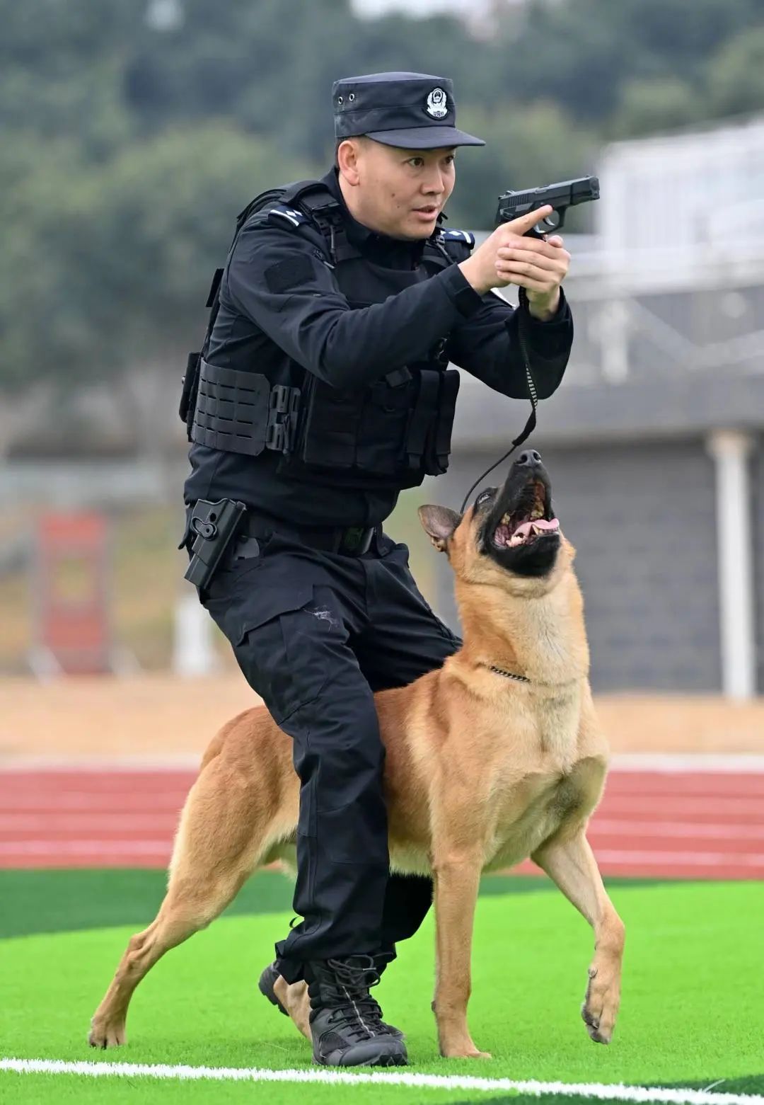神犬奇兵是如何"炼成"的?
