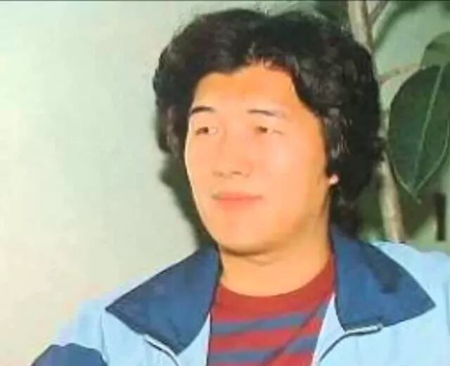 忽如一夜春风来 神州大地city Pop 奇遇电影 微信公众号文章阅读 Wemp