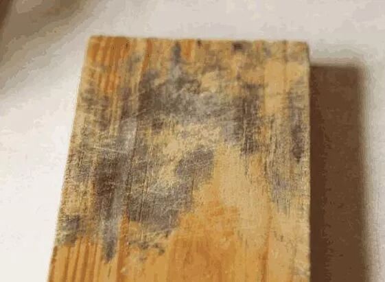 注意！廚房里最髒的這東西，趕緊丟掉… 家居 第5張