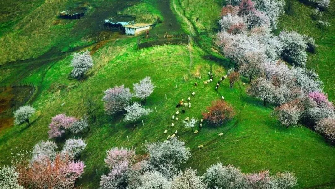 这个才是摄影师三月份最值得去的20个地方，全都美哭了