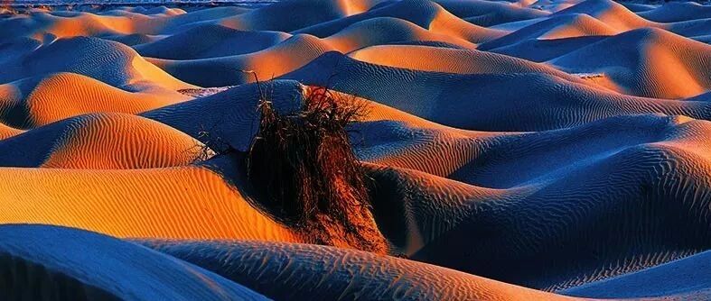 63岁摄影师，在新疆“消失”30年后，流出来的照片世人看呆了