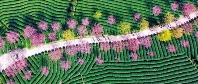 央视花了两年，从天上拍下所有中国美景！航拍的魅力，超级震撼！