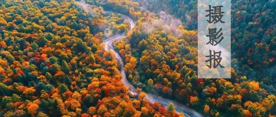 忘掉新疆和西藏吧，这里可能才是中国秋天最美的地方！