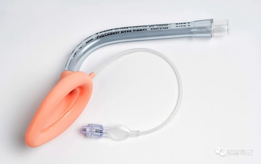 ambu喉罩怎么读喉罩和麻醉_https://www.jmylbn.com_新闻资讯_第6张