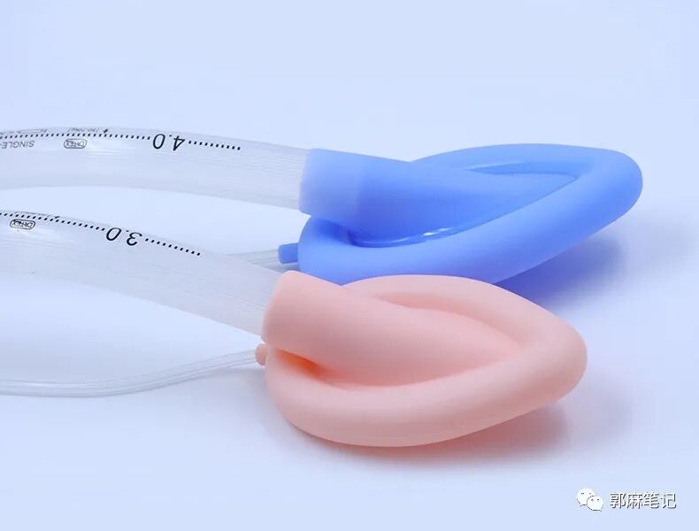 ambu喉罩怎么读喉罩和麻醉_https://www.jmylbn.com_新闻资讯_第3张