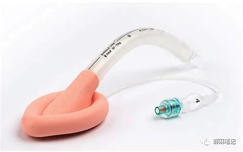 ambu喉罩怎么读喉罩和麻醉_https://www.jmylbn.com_新闻资讯_第8张