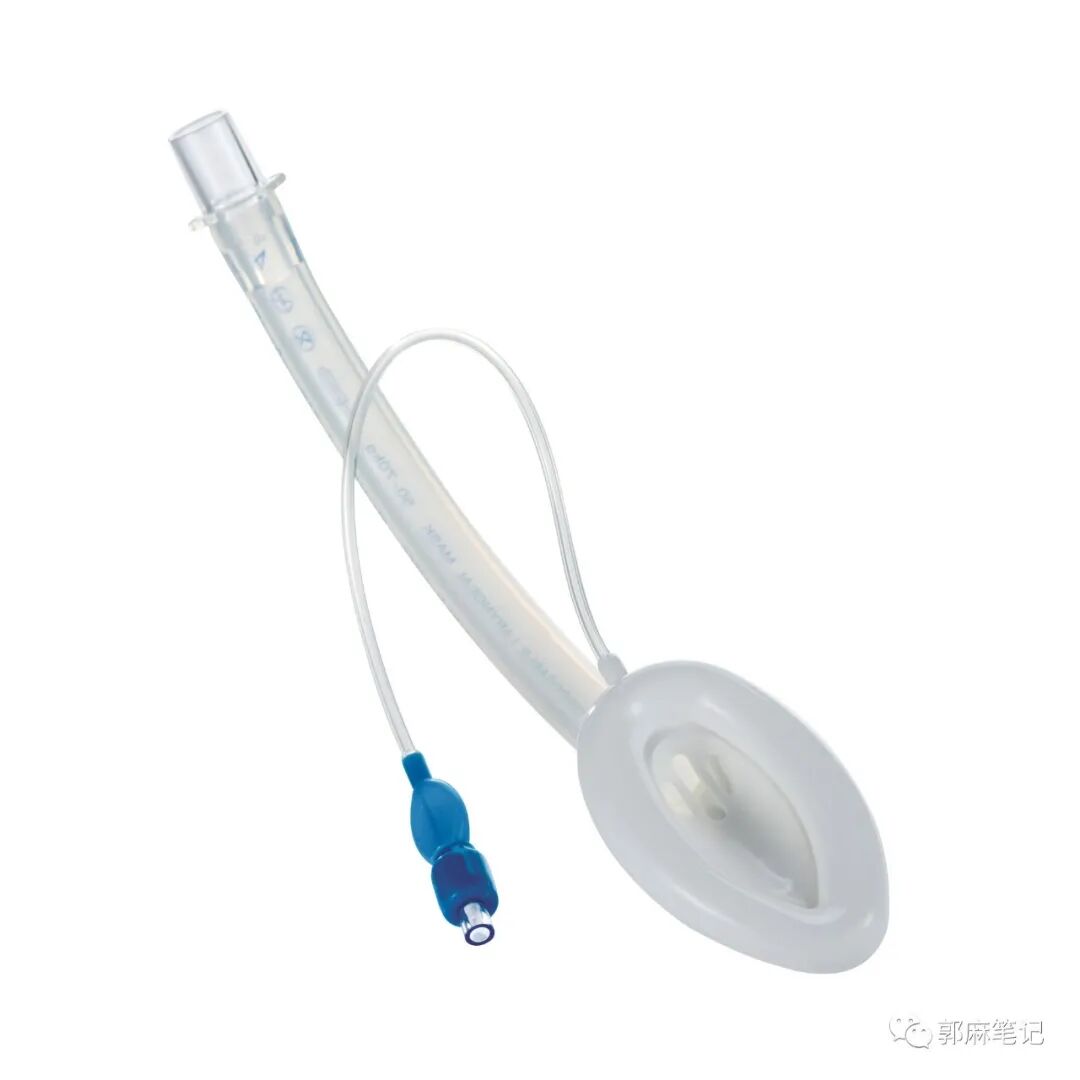 ambu喉罩怎么读喉罩和麻醉_https://www.jmylbn.com_新闻资讯_第5张