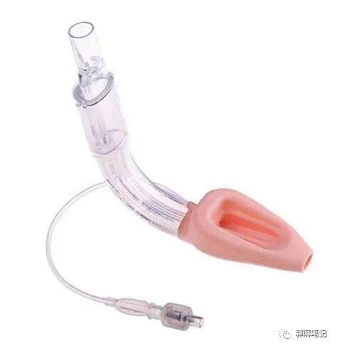 ambu喉罩怎么读喉罩和麻醉_https://www.jmylbn.com_新闻资讯_第4张