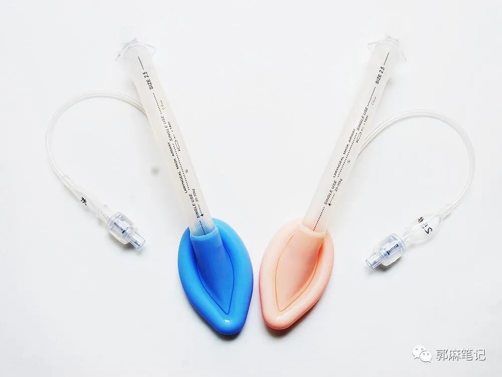 ambu喉罩怎么读喉罩和麻醉_https://www.jmylbn.com_新闻资讯_第2张