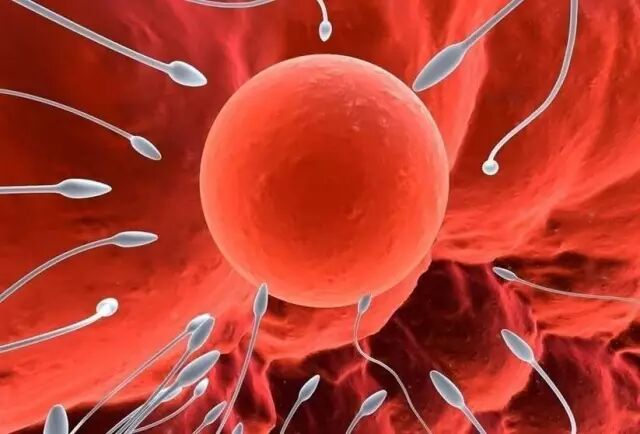 科学备孕！生出的宝宝更健康！