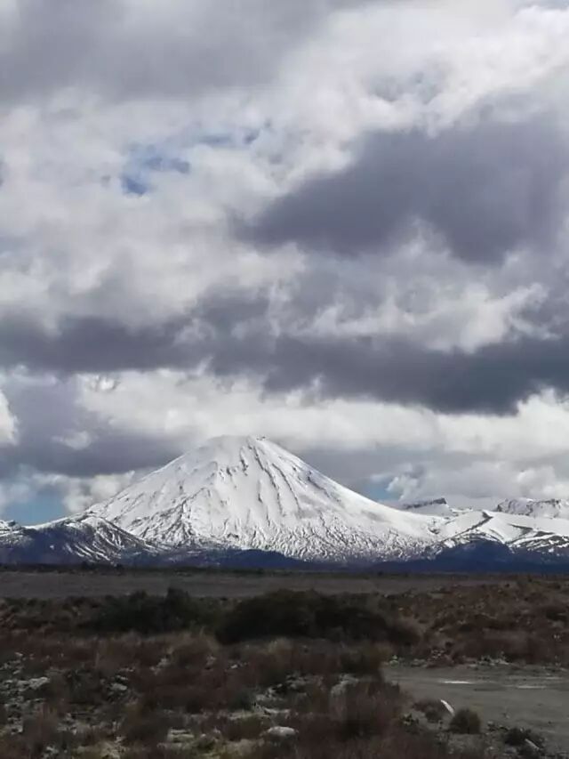 天舒轻游记 没有植物的山顶 这不是影射 新西兰天舒 微信公众号文章阅读 Wemp