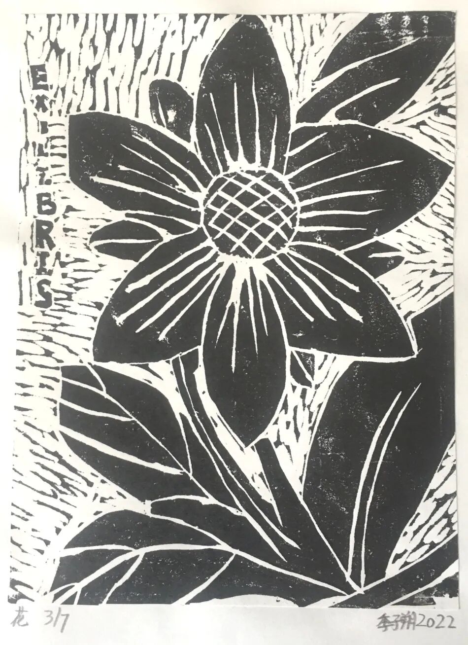 101矿大分校藏书票这波美术作品真赞一