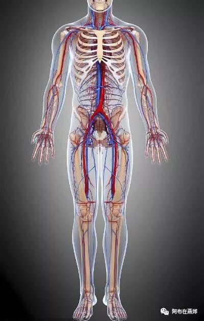 买房必看的    房产价值解剖学