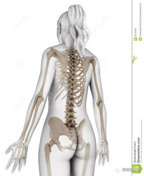 买房必看的    房产价值解剖学