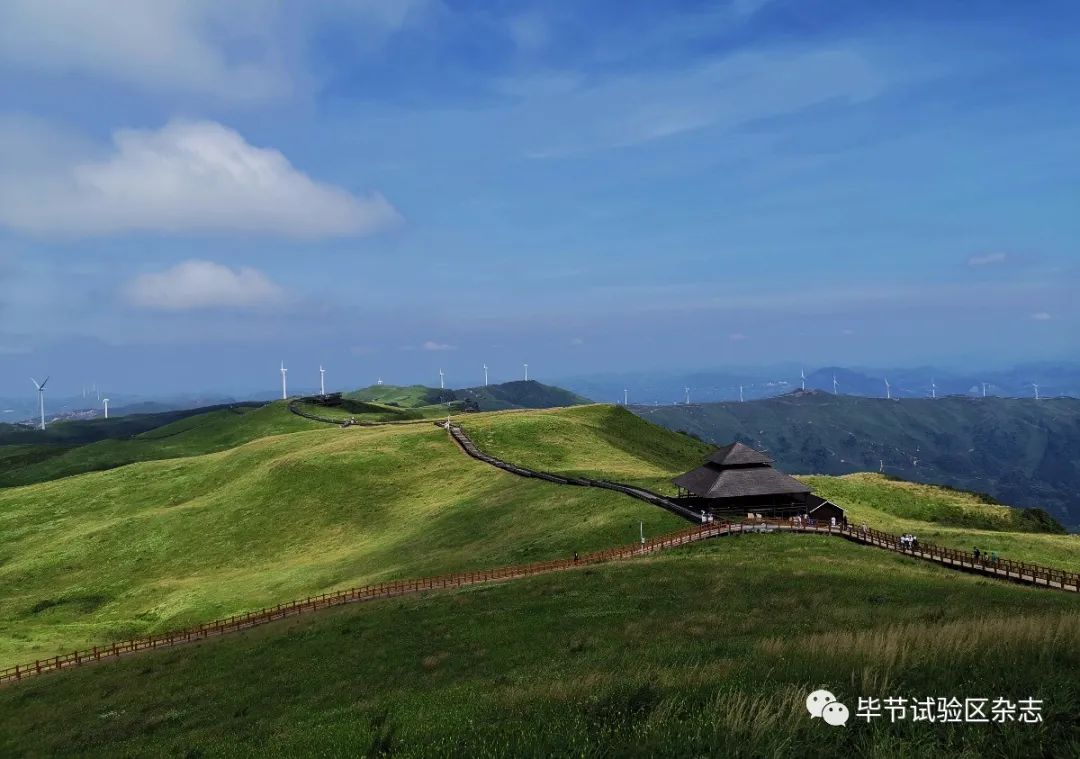 畢節韭菜坪盛花期來了旅遊攻略在此