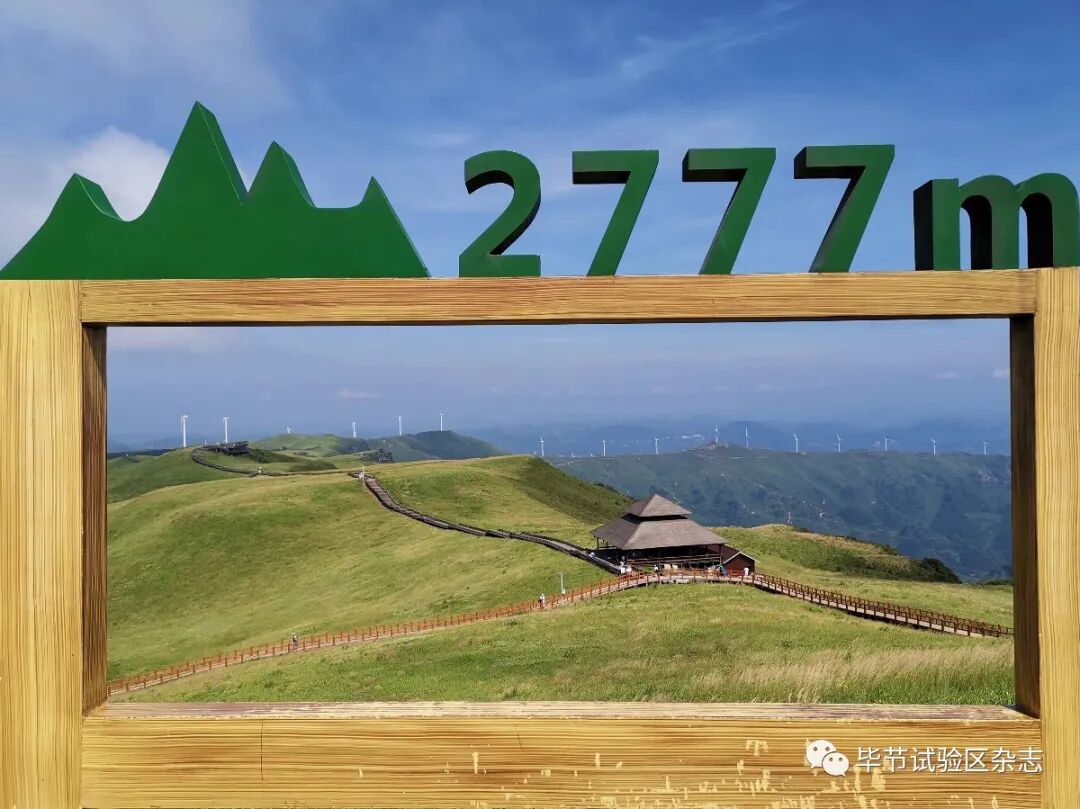 �Ͻھ²�ƺʢ�������ˣ����ι����ڴ�