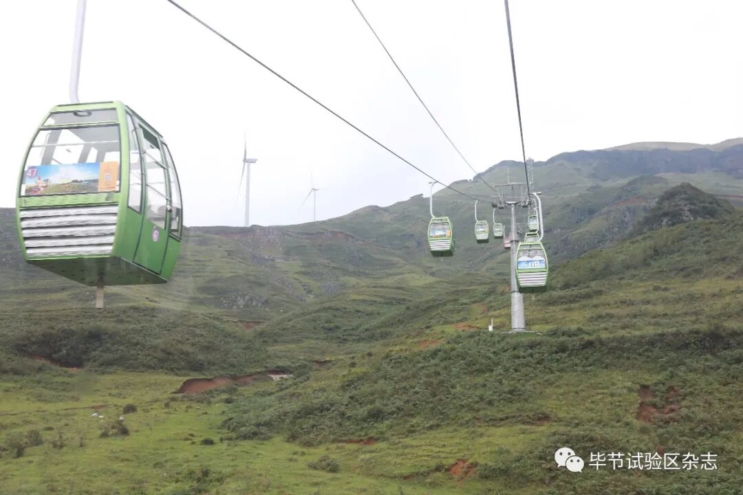 �Ͻھ²�ƺʢ�������ˣ����ι����ڴ�