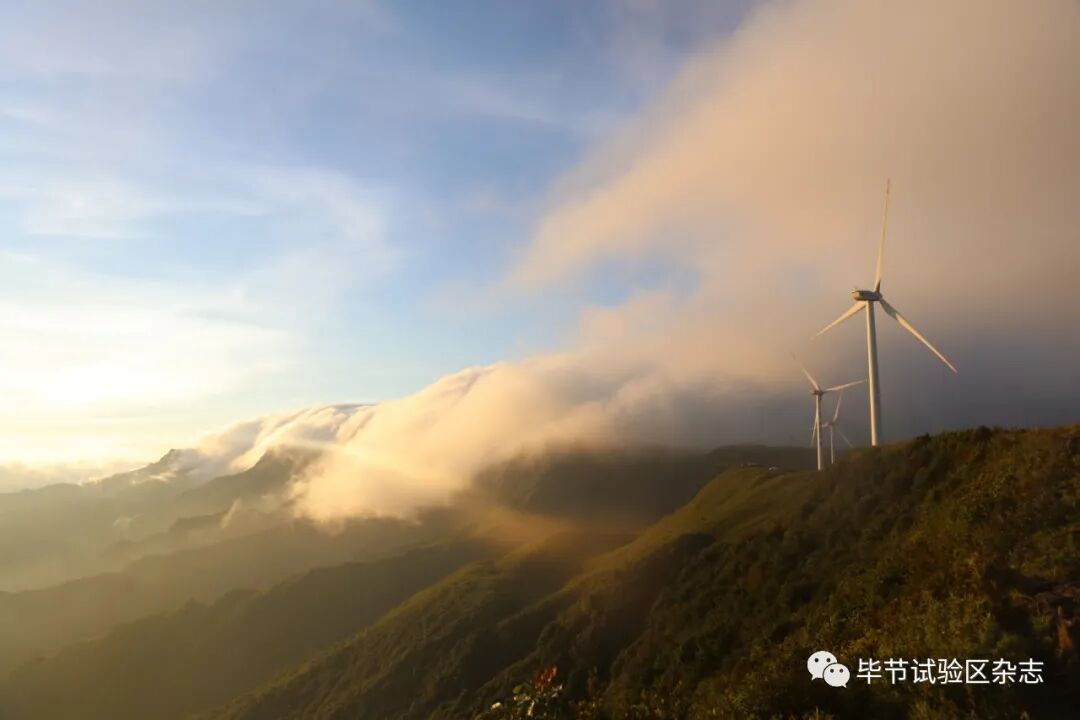 �Ͻھ²�ƺʢ�������ˣ����ι����ڴ�