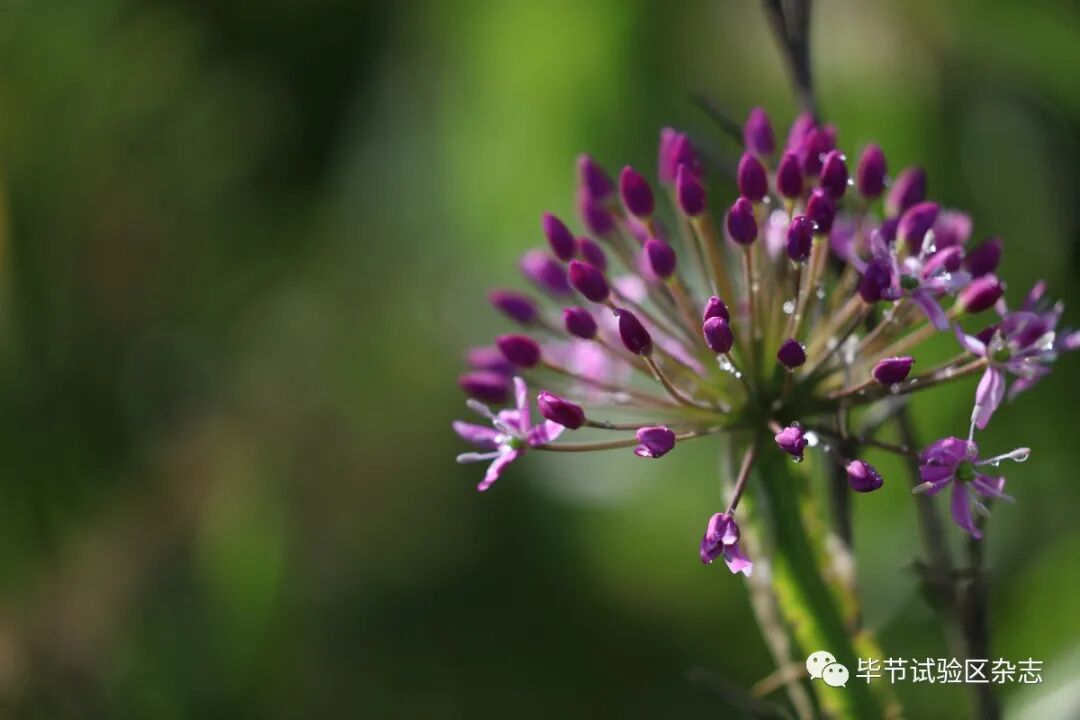 �Ͻھ²�ƺʢ�������ˣ����ι����ڴ�