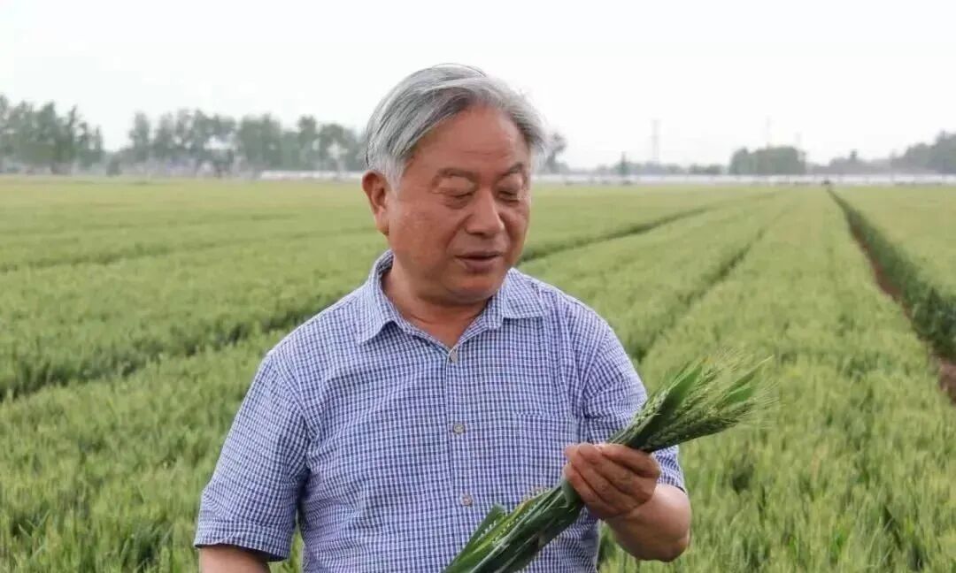 农业农村部农业科学家群星闪烁是当之无愧的中国农业脊梁