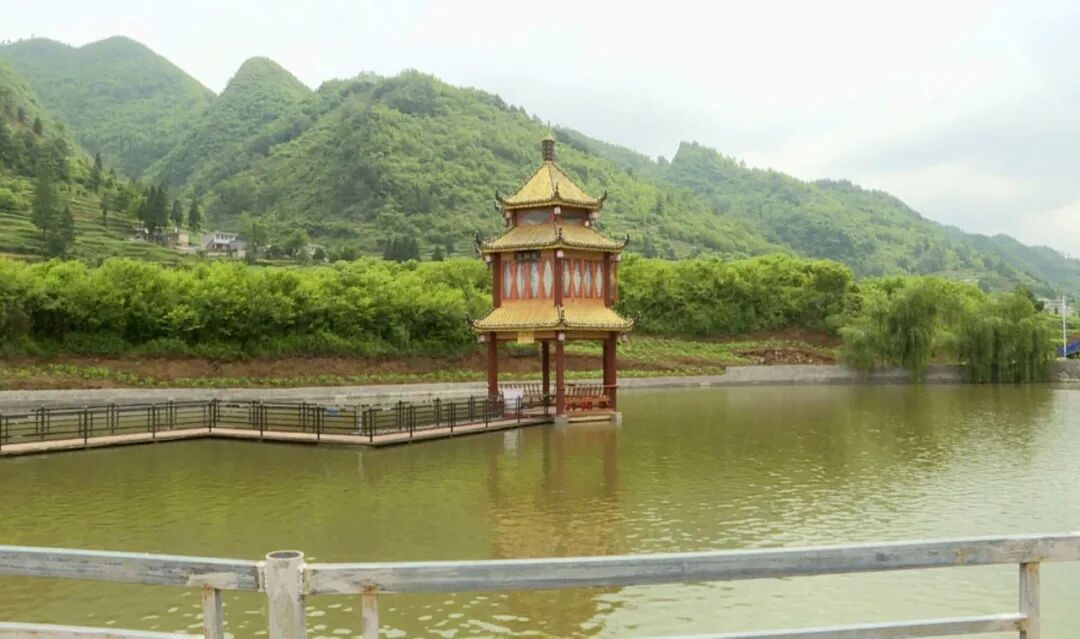 纳雍县龙场镇新塘村:风光无限好 赏景正当时