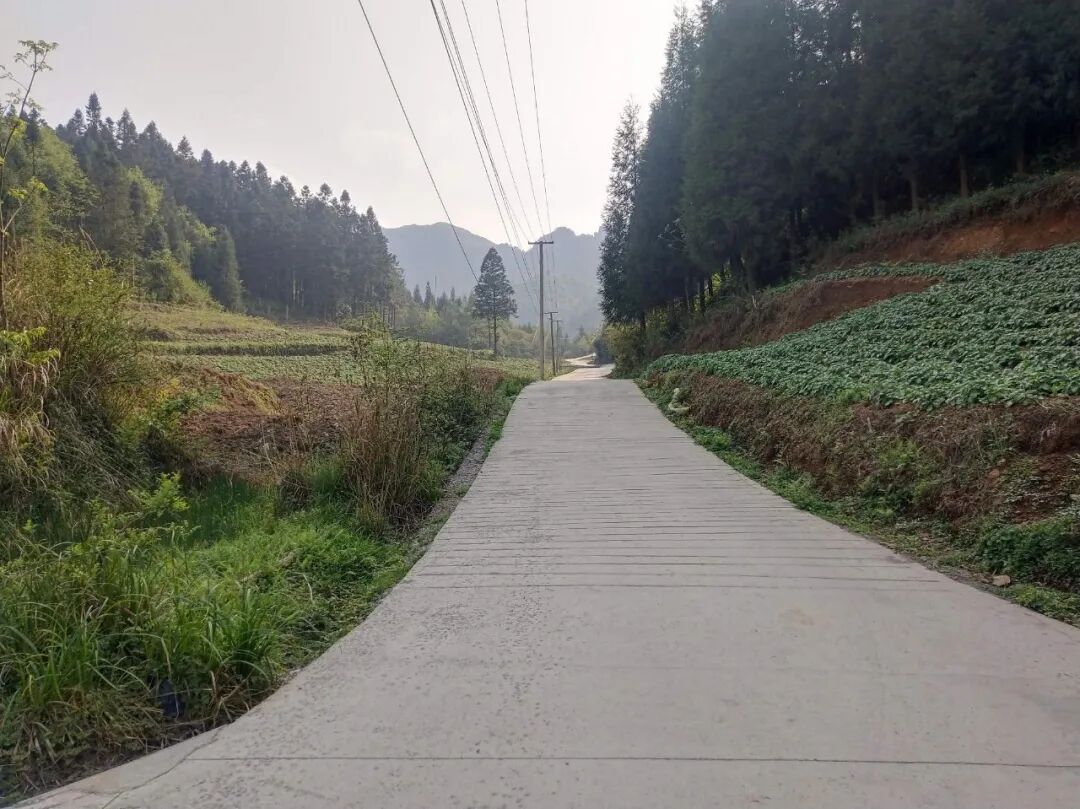 纳雍县张家湾镇:农村生活垃圾分类处置