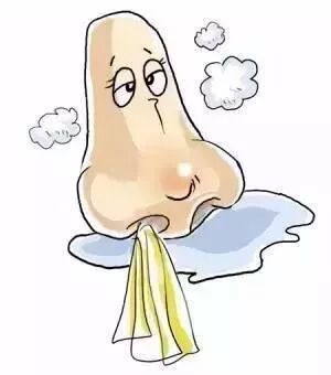 会呼吸的痛！如何区分鼻炎和感冒？
