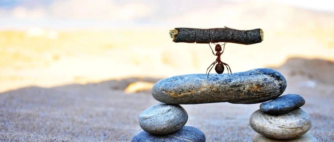 蚂蚁未“折戟”