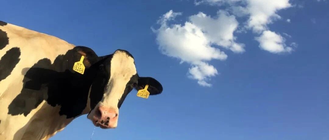 沸腾！地产股涨爆了，外资罕见抄底127亿！利好来了？热搜第一，卫龙致歉！三部门重磅出手：打击！特朗普向普京喊话...