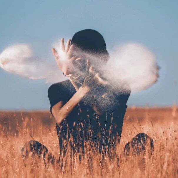 闪崩、20%跌停！A股又有"萝卜章"，公司紧急报案，交易所火速出手