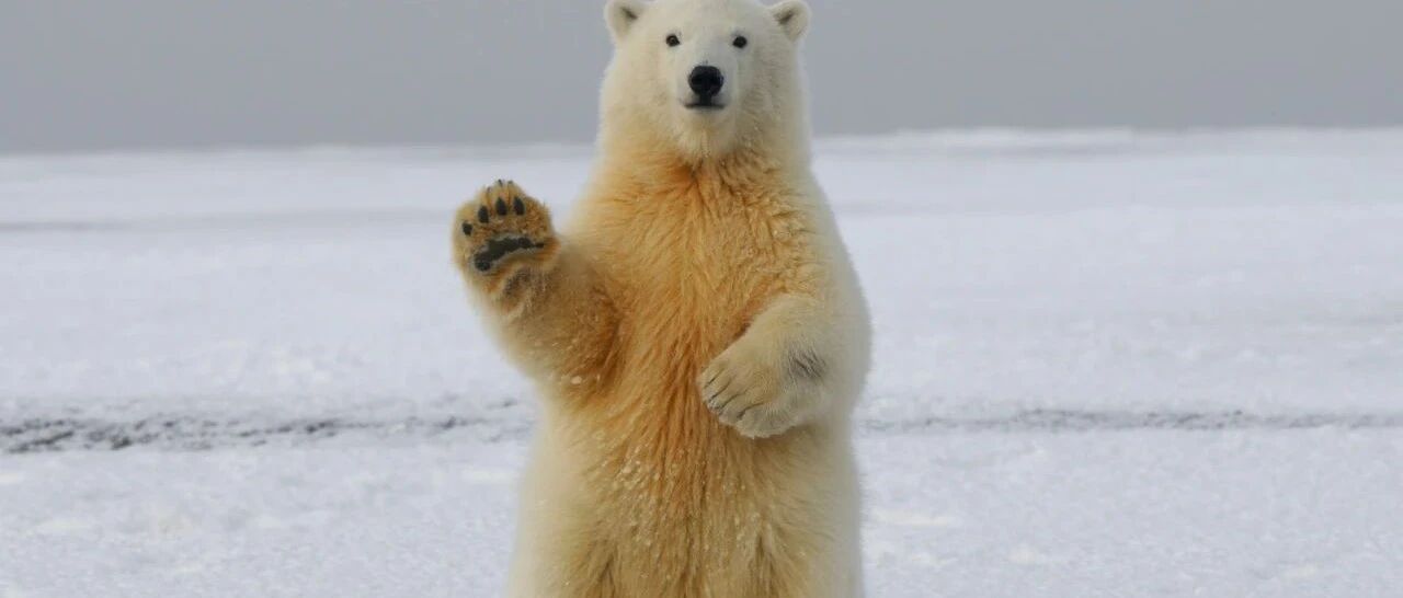 突发！牛市旗手也崩了，光大证券一度跌停！这个市场爆发“熔断潮”，更有上演"天地板"，一天巨亏43%！