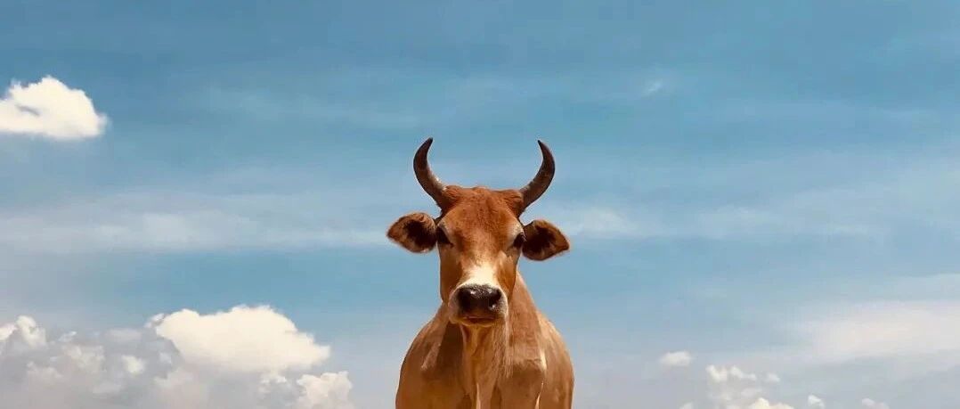 刚刚，基金股票又上热搜！股民：今天别拦我发财！俄罗斯"用魔法打败魔法"：用冻结的钱还债！拜登宣布大动作，美俄驻华使馆微博“开战”