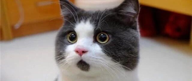 惊呆股民：暴涨761%！虎年第一“妖股”来了：节前17涨停，又连拉5个涨停！