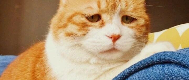 股民又扎心！知名主持人朋友圈刷屏：别嘲笑国足了，股市过去5年也跑输了！A股放假，外围狂涨，节后稳了？