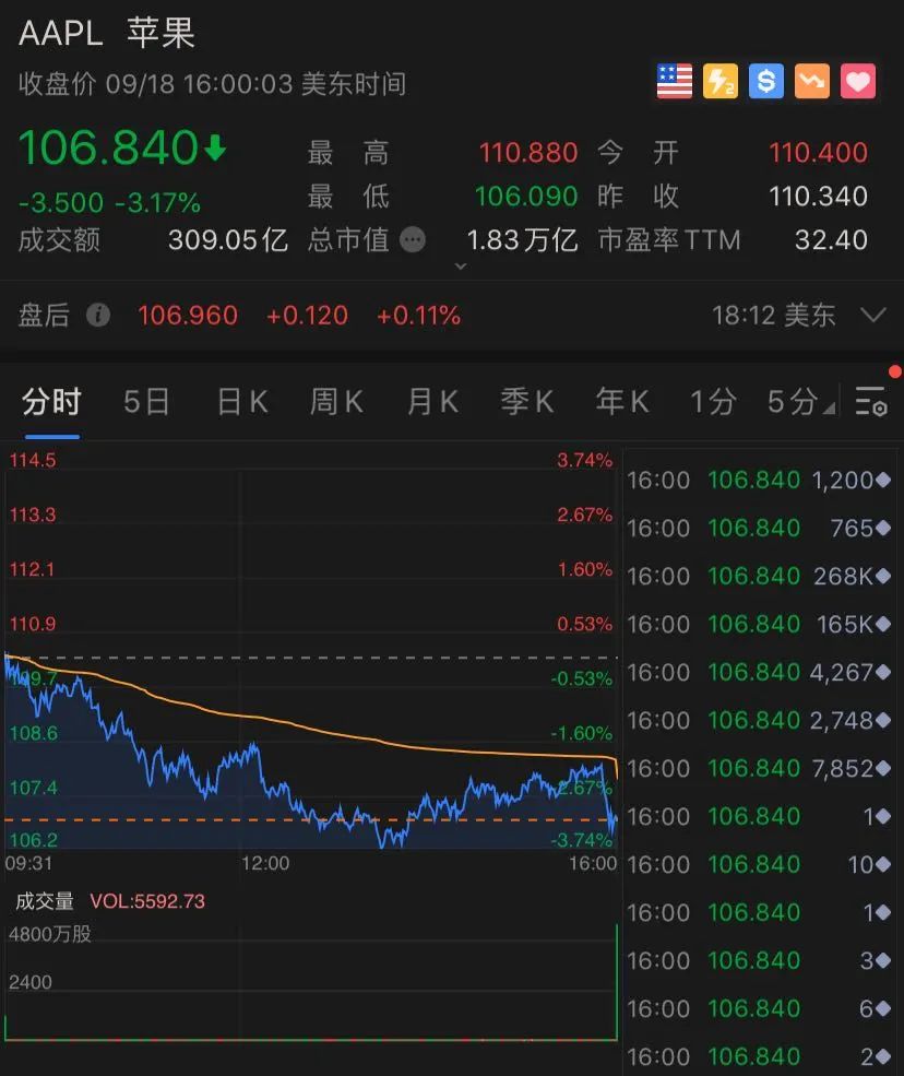 太意外！全球老大蘋果公司進入