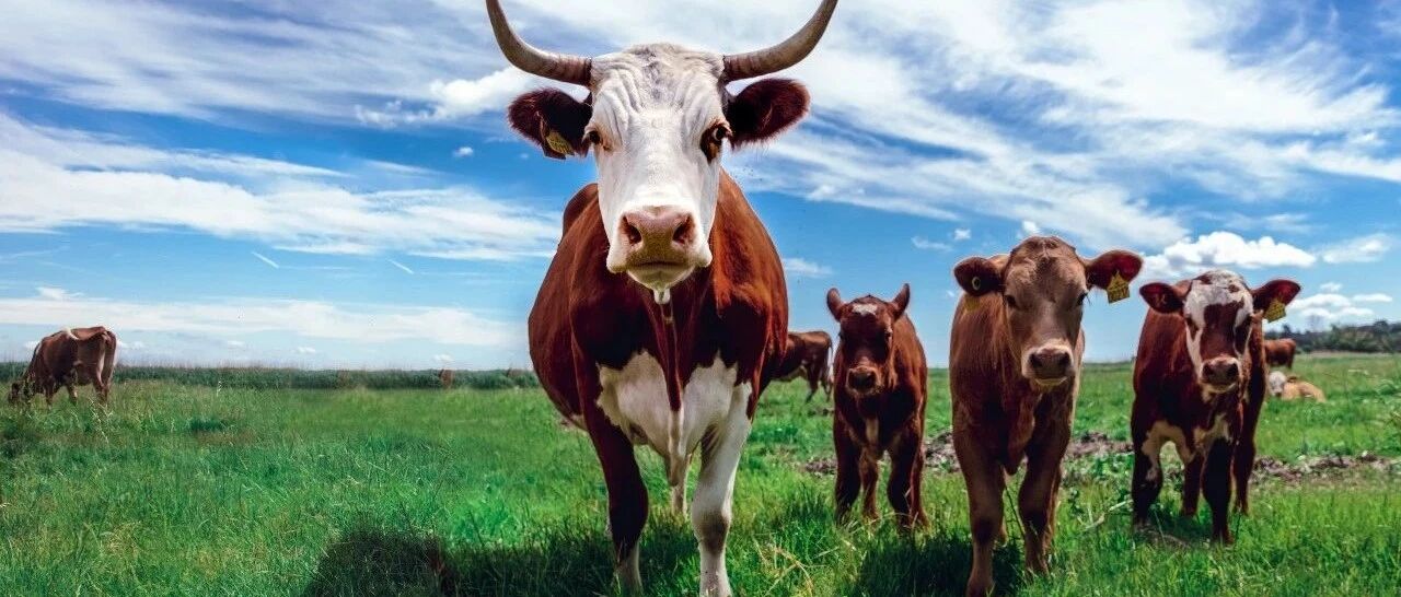 A股关键时刻，金融委重磅发声！近900亿解禁压顶，下周股市怎么走？十大券商：调整就是加仓良机！