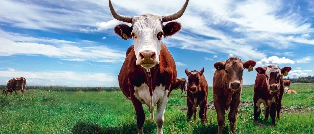 周末不平静！证监会: "牛短熊长"正在消失！中芯国际要被拉黑？美的董事长大减持！下周A股怎么走？10大券商最新研判来了