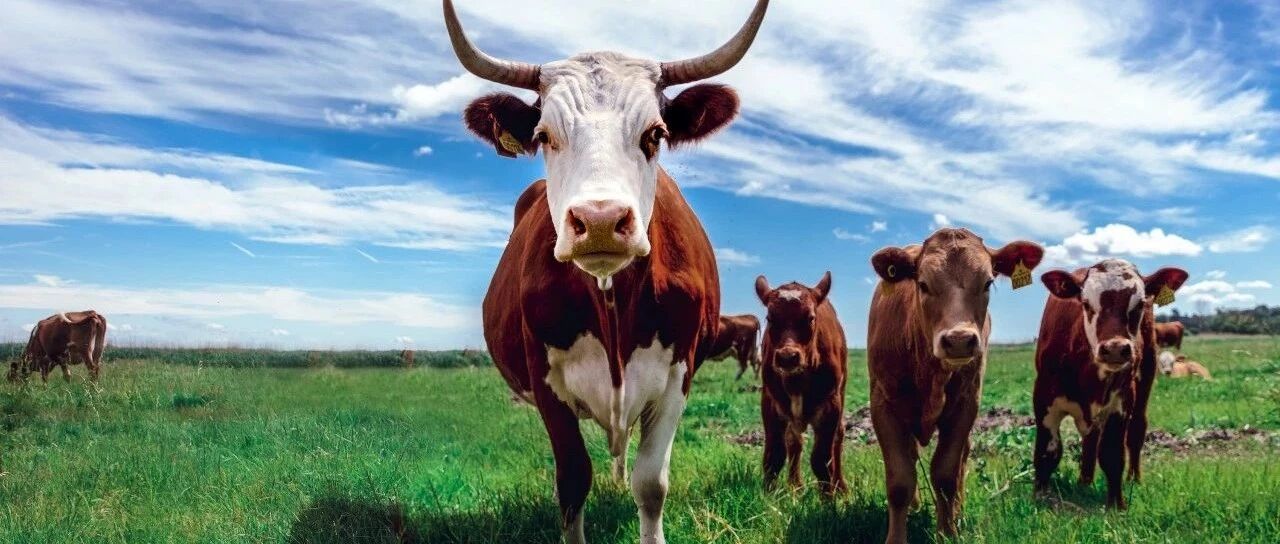 重磅！央行突然放大招，超预期降息10基点！关键数据刷屏！A股全线大涨，这板块大爆发，超20股涨停！宁王大涨5%，爆雷股闪崩跌停