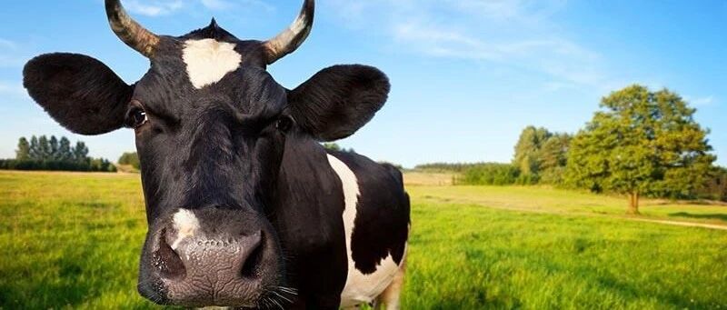 A股又沸腾！万亿成交，百股涨停潮：科创板涨5%，创业板4%！更有千亿芯片巨头也涨停