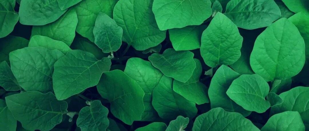 黑色星期一：抄底抄到无底洞！创业板大跌4%，3800家下跌！欧洲股市也崩了，俄军宣布进入“静默”！王毅阐述中国立场！