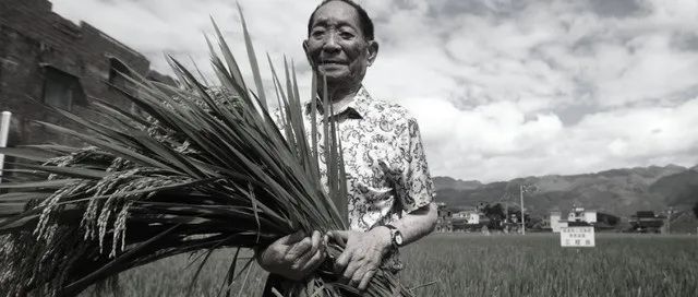 泪目，袁隆平遗照确定！市民雨中送别，钟南山发文缅怀，新华社建议降半旗志哀！网友：“我把饭乖乖吃光了“