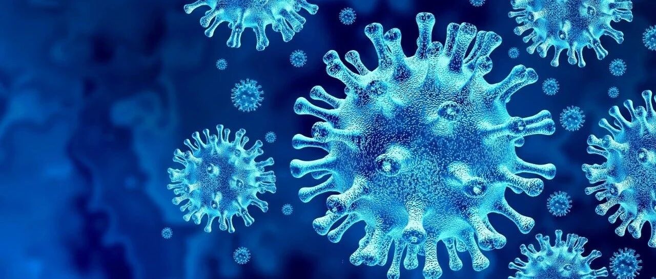 突发！张家界一导游确诊，曾带团去酒店景点！新能车三巨头大涨500亿，“图片版推特”暴跌18%…