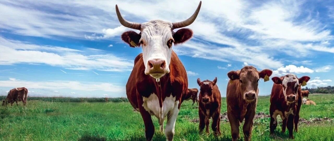 股民沸腾了！刚刚，A股突破3000点！更有茅台股价1500元，一股比一瓶酒还贵…