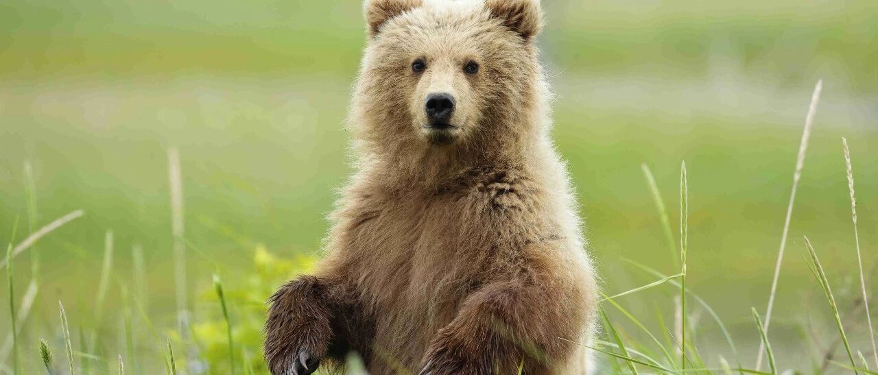 刚刚，超200股跌停！A股蒸发3万亿，创业板暴跌近6%，人均没了2万块！大跌原因找到了...网友：又见证历史！