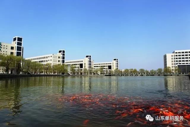 学校解读 |淄博职业学院