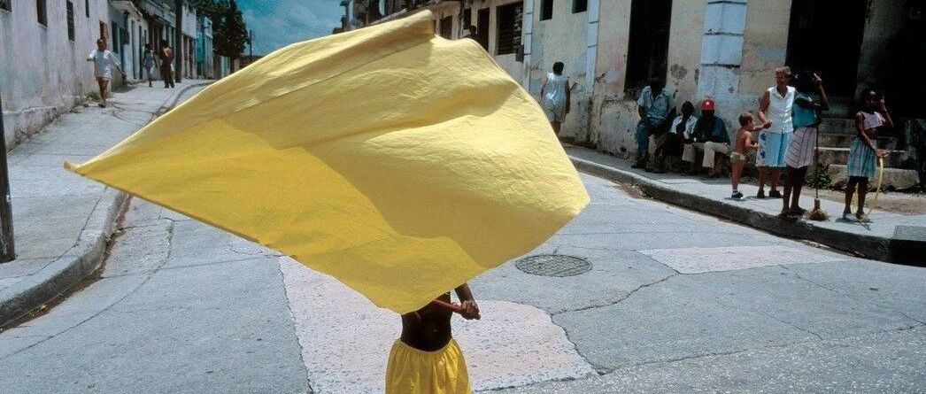 比亚迪的尴尬~新能源引导者，新能源不升反降，燃油车保全面子