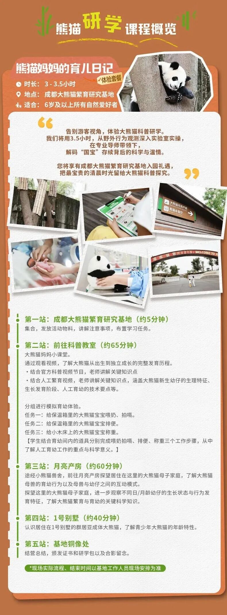 成都希尔顿熊猫基地研学套餐788元起 暑假周末不加价不排队