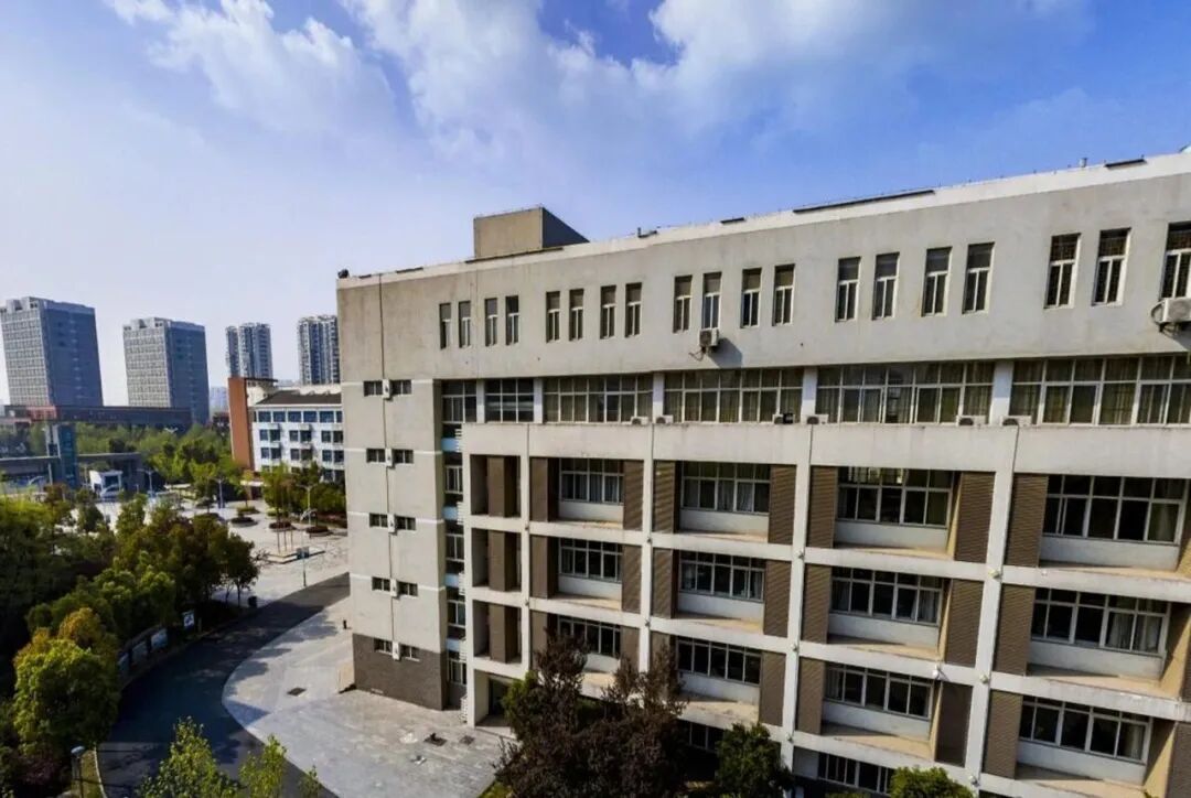 合肥二手车直卖网官网_合肥一中官网_晋城一中官网