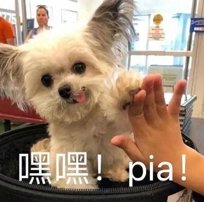 周口机场 河南发布最新提示！