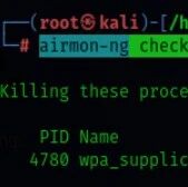 Example Image